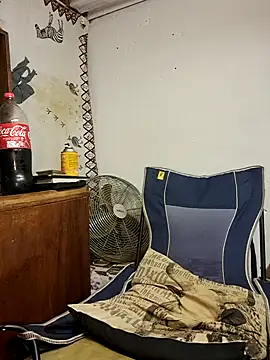 bull Giant online show from February 25, 9:13 pm