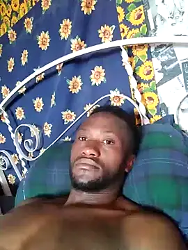 bull Giant online show from December 9, 8:11 am