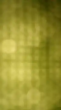 Snapshot of Sexybeer2005 chatting on December 7, 10:06 pm Sexybeer2005 online show from December 7, 10:06 pm