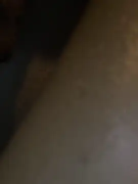 HBYAM online show from December 30, 6:38 pm