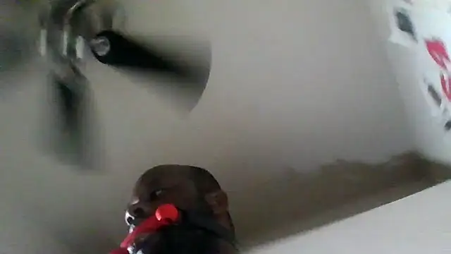 HBYAM online show from January 12, 12:31 pm