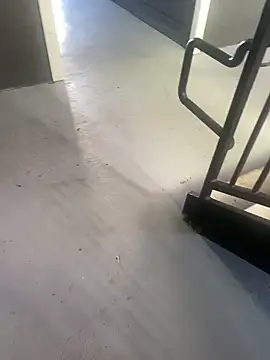 zeekBbc online show from October 29, 4:10 pm