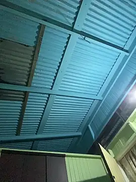 islandvybee55 online show from January 8, 7:57 am