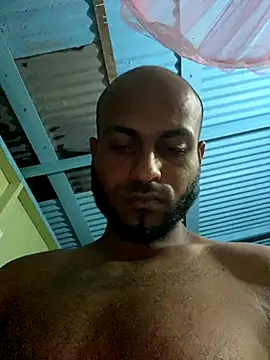 islandvybee55 online show from October 4, 3:22 am