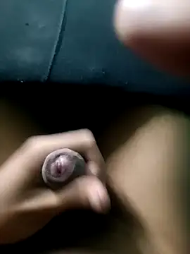 AloneDick online show from November 17, 9:45 am