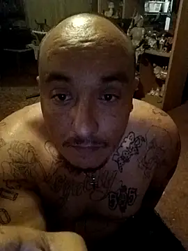 wilsons12 online show from February 14, 11:16 am