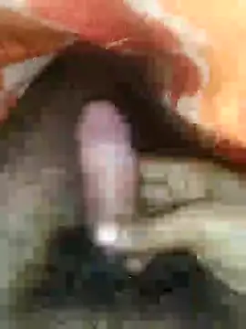 cjonybab online show from January 14, 2:29 am