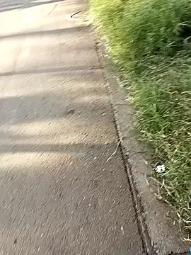 C vas  online show from December 6, 11:54 am