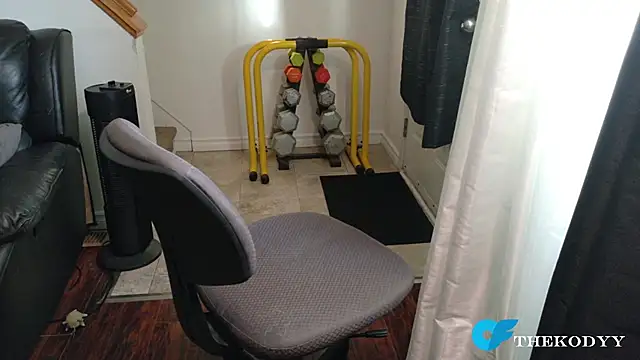 Thekodyy online show from January 16, 1:36 pm