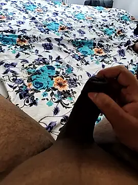 Mallu Curator online show from November 8, 3:54 am