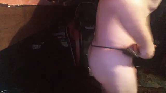 6996horus online show from November 25, 12:23 am