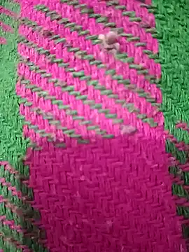 pintuS40 online show from December 19, 5:50 pm