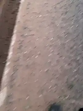 Black mamba madingo online show from December 2, 5:57 pm