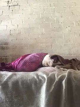 Sweet   Dick online show from January 30, 7:18 am