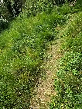 nataliecdlive online show from May 2, 1:14 pm