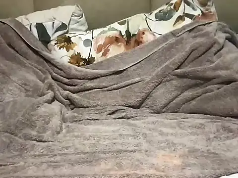 pe netrad0r online show from March 29, 2:23 am