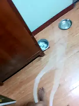 WarningEmerald online show from February 20, 8:32 pm