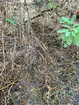 Snapshot of tamil000000 chatting on March 14, 1:27 am tamil000000 online show from March 14, 1:27 am