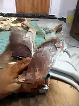 PracticalGum40 online show from April 9, 6:03 pm