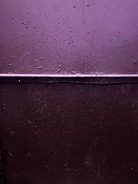 faaseel online show from February 15, 3:31 am