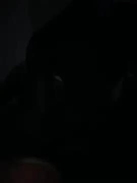 Bignc online show from March 27, 11:33 am