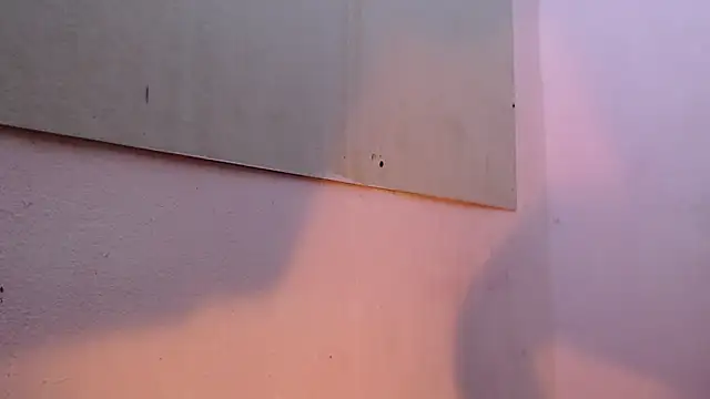 mr stiven  online show from March 22, 2:16 am