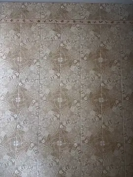 SecretlyDD online show from April 2, 11:07 am