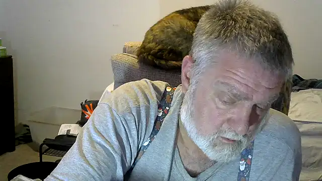 viejo oso online show from November 17, 3:20 am