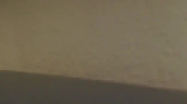 yourguyjack online show from January 15, 7:59 am