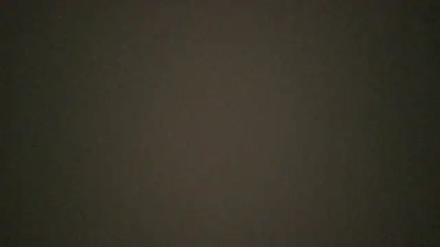 RODRI POLLADURA online show from December 13, 8:15 pm