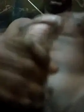 rodrig2107 online show from April 11, 10:30 am