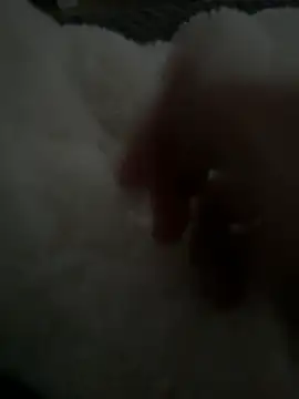 avanao online show from April 13, 2:40 pm