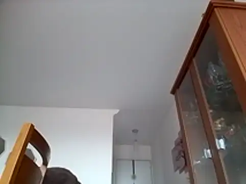 Munnoki online show from January 17, 9:34 am