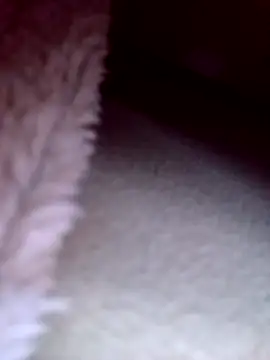 Putinha33333 online show from February 22, 2:46 am