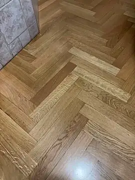 nejdb online show from February 20, 12:18 pm