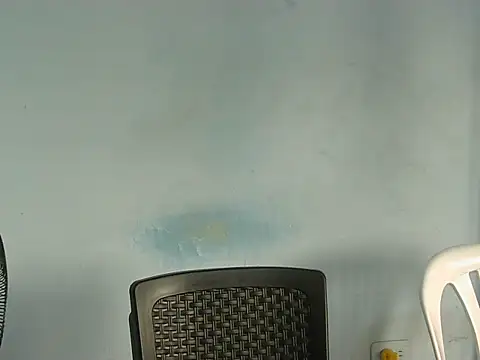 YOX22 online show from February 4, 1:50 pm