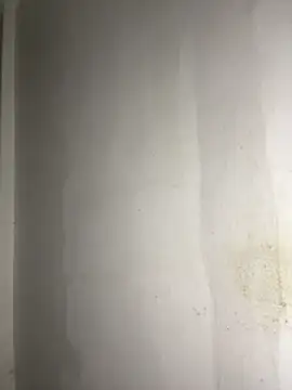 Hamza-Maroki online show from February 12, 11:33 pm