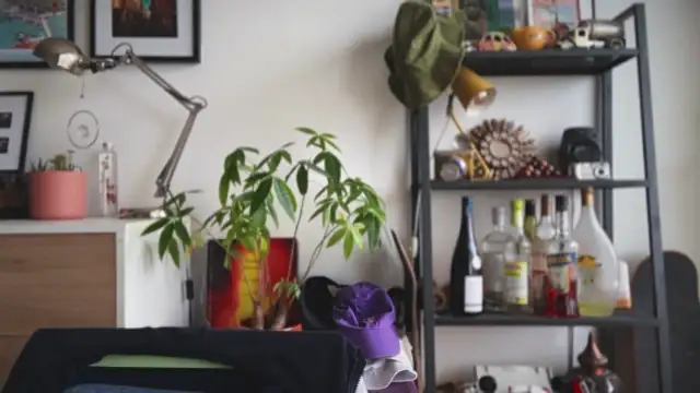 MikymikeBBWD online show from February 6, 12:46 pm