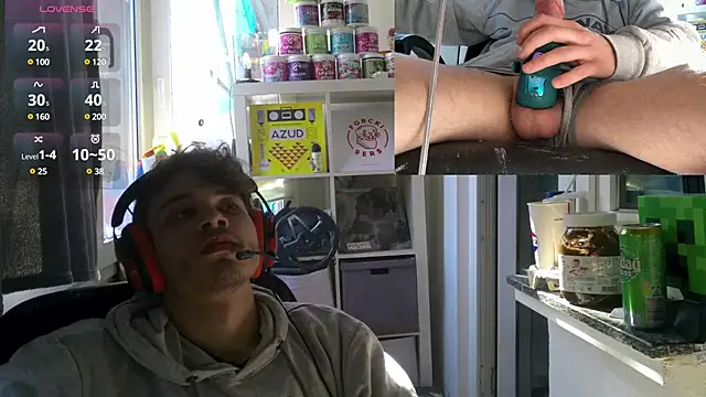 PainterHase online show from March 2, 12:47 pm