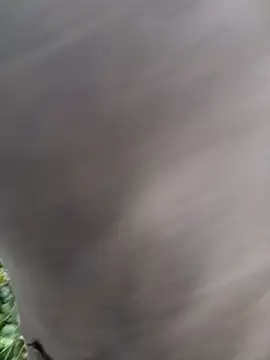 Mycansonhot online show from April 19, 6:54 pm