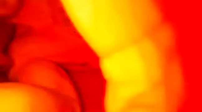 JCstrings online show from February 21, 7:43 pm