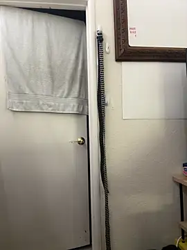 August 26 online show from March 1, 6:15 am