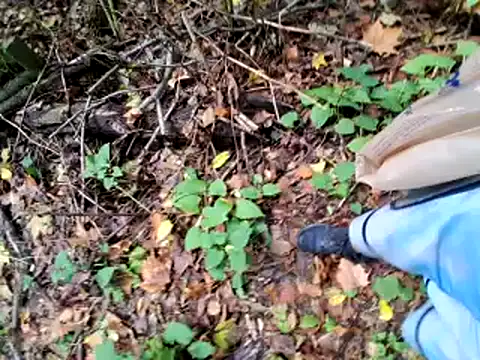 Snapshot of Tomtomlee158 chatting on September 25, 5:34 pm Tomtomlee158 online show from September 25, 5:34 pm