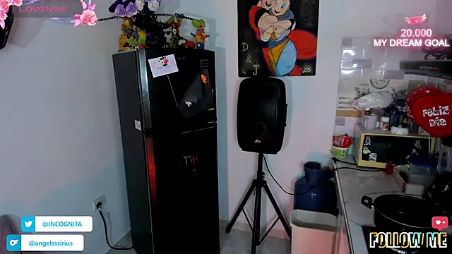 adam angelssss online show from November 11, 4:39 am