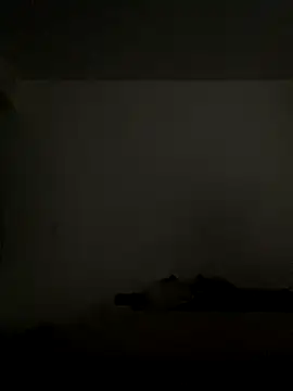 Renoirmonter online show from December 4, 1:51 pm