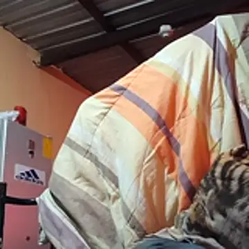 Ortiz3404 online show from April 8, 3:32 pm