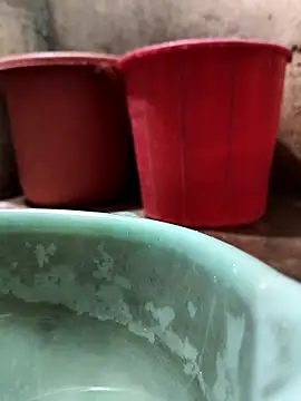 agra playboy online show from March 21, 1:15 pm