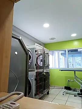 elbbxxx1999 online show from September 13, 3:13 pm