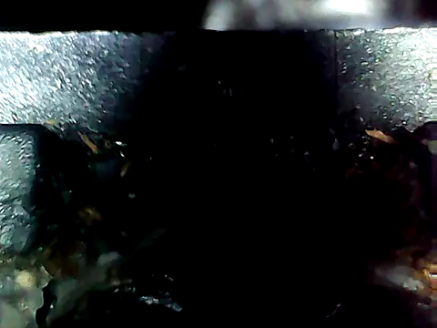 20cmloiro online show from April 10, 7:04 am