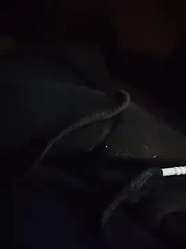 MyDick4You666 online show from October 25, 6:20 pm